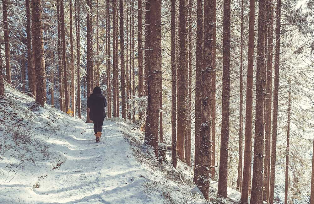 Wald mit Schnee und Spaziergängerin