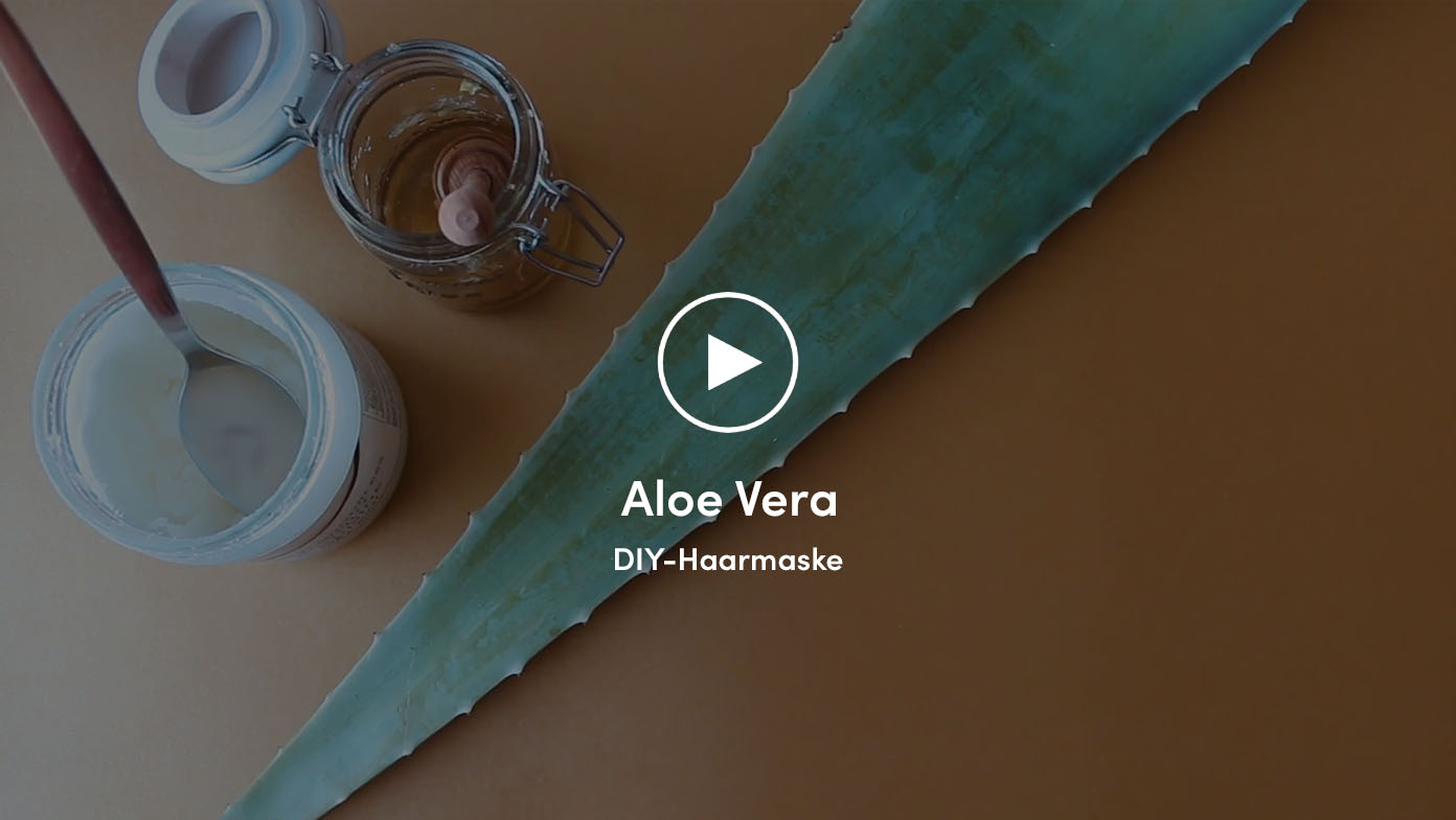 Video über Aloe Vera