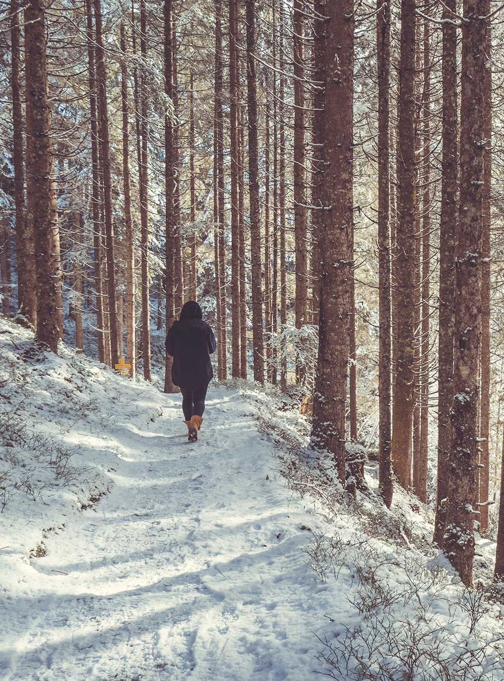 Frau wandert auf schneebedecktem Waldweg