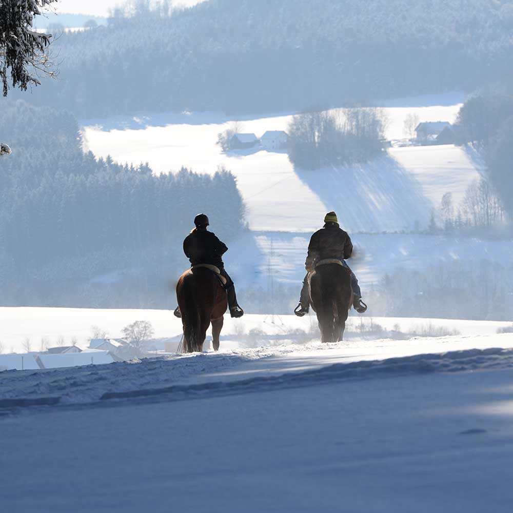 Zwei Reiter reiten über ein schneebedecktes Feld