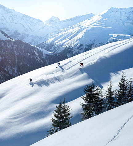 Skigebiete der Alpen